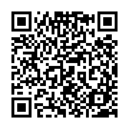QR code for 993UDM