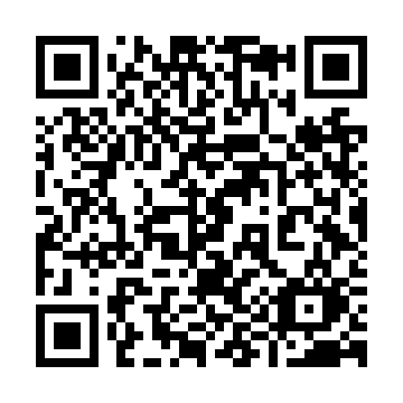 QR code for plate 996-NSO