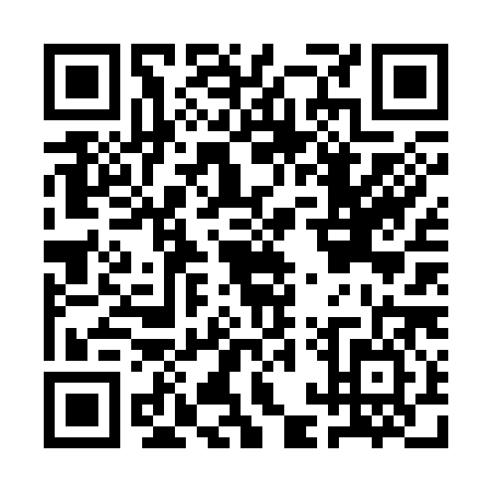 QR code for AAV3867