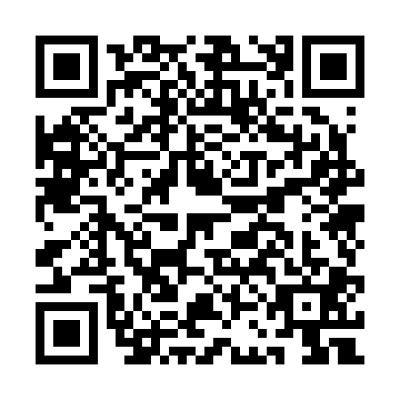 QR code for ACO2014