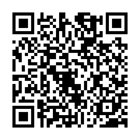 QR code for AEV2013