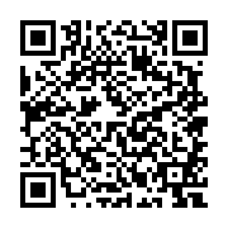 QR code for plate AMU-4801