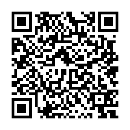 QR code for APE-0335