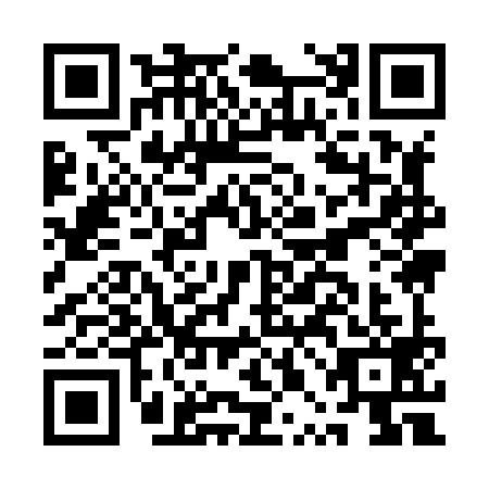 QR code for API-8991