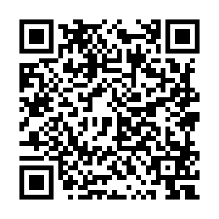 QR code for API-9833