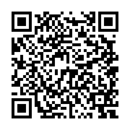 QR code for plate APO-0963