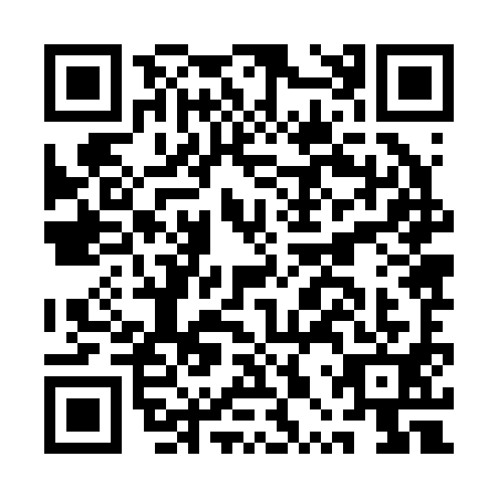 QR code for plate APZ-2916