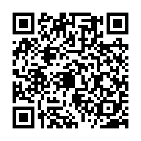 QR code for plate ASE-2981