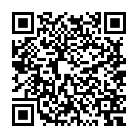 QR code for plate AYJ-8666