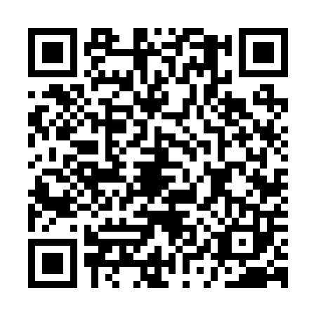 QR code for AYV2030