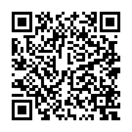 QR code for AYY-0491
