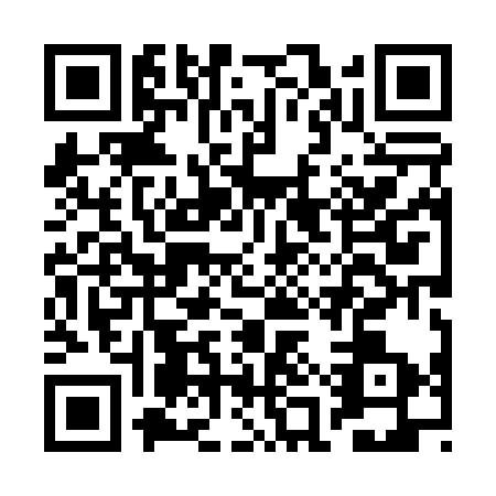 QR code for BAX0338