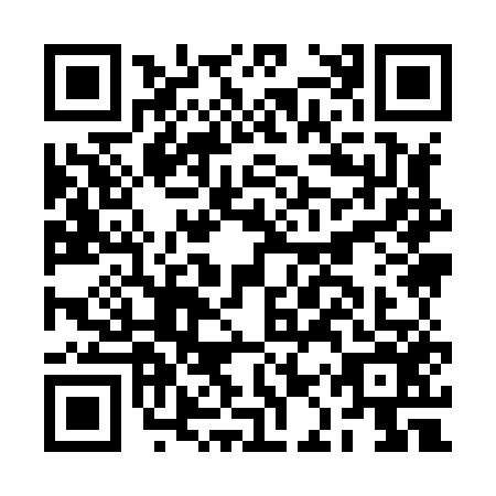 QR code for plate BAY-8565