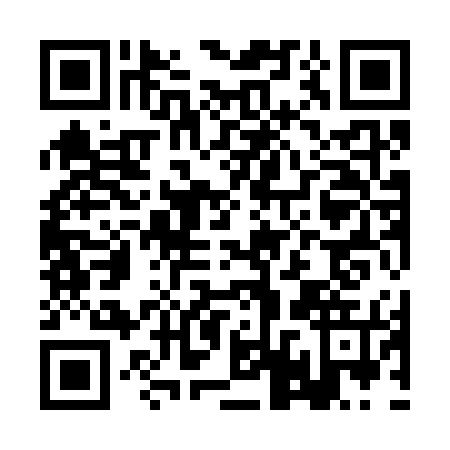 QR code for plate BDY-3753