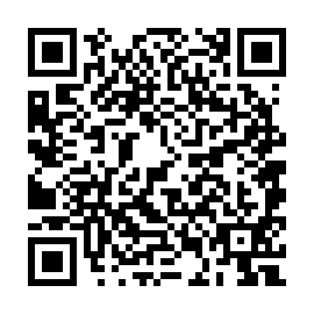 QR code for plate BEF-2919
