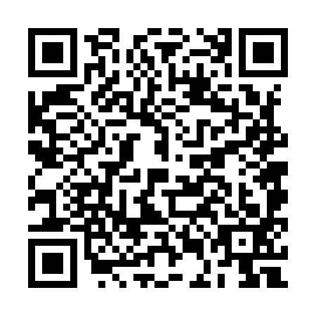 QR code for plate BEF-9933