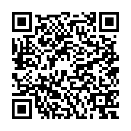 QR code for plate BFS-5729
