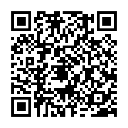 QR code for plate BFT-0383