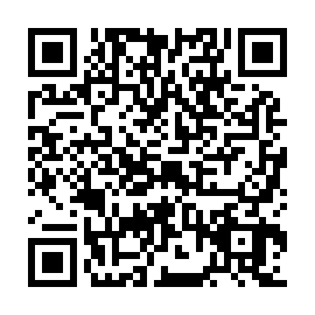 QR code for BFZ9228