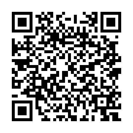 QR code for BGI0529