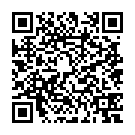 QR code for plate BGJ-0388