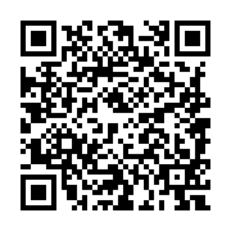 QR code for plate BGN-9930