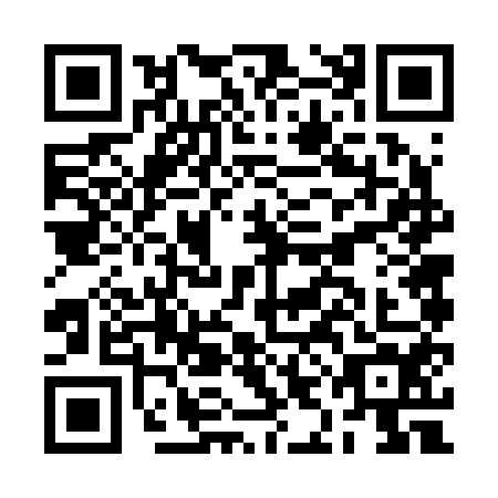 QR code for BIF2541