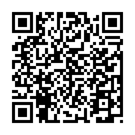 QR code for BIG-0481