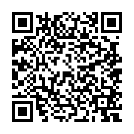 QR code for plate BKJ-0400
