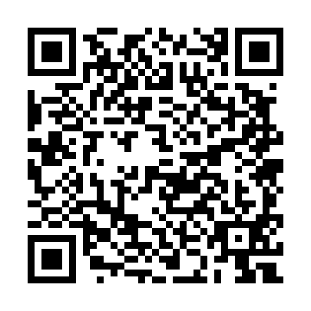 QR code for BKO4919