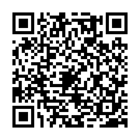 QR code for plate BLN-2728