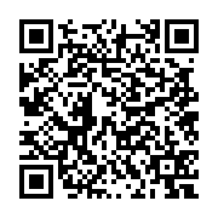 QR code for plate BLR-0358