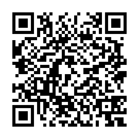 QR code for BOI4384