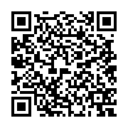 QR code for BOR-0368