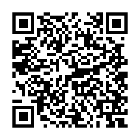 QR code for plate BPB-0428