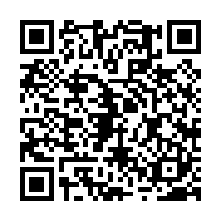 QR code for plate BPX-0233