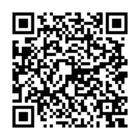 QR code for plate BPY-4228
