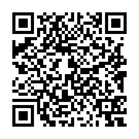 QR code for plate BRL-1311
