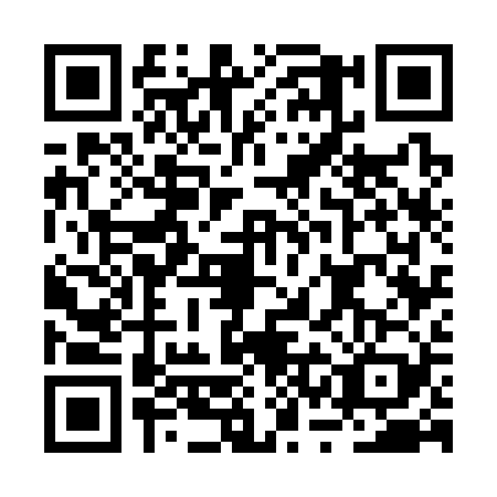 QR code for plate BSG-3291