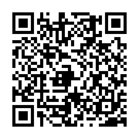 QR code for BSM-3133