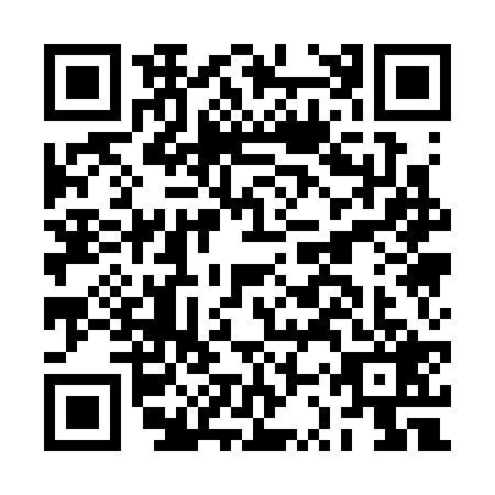 QR code for BSQ3295