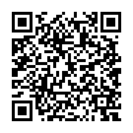 QR code for plate BST-4038