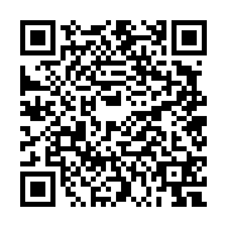 QR code for plate BWG-4203