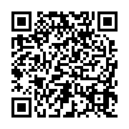 QR code for plate BWP-2993