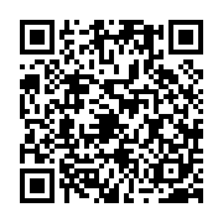 QR code for plate BWX-0506