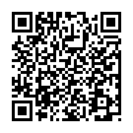 QR code for BXB-0319