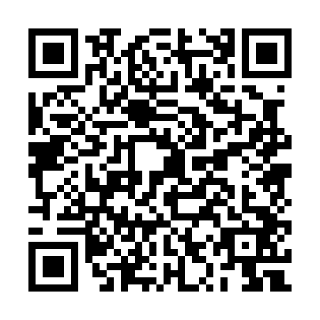 QR code for plate BYP-0420