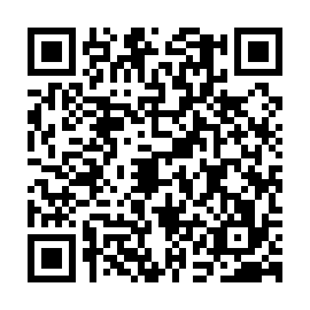 QR code for CAI1363
