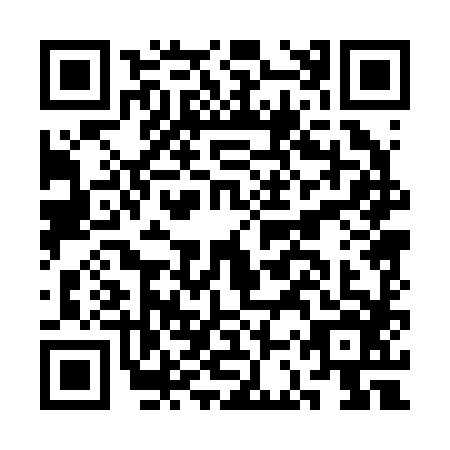 QR code for plate CCP-2863