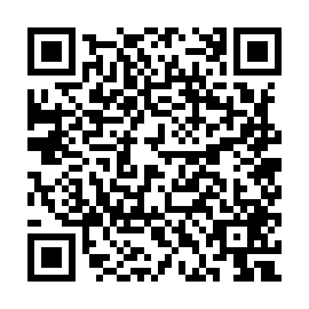 QR code for CDG-9493